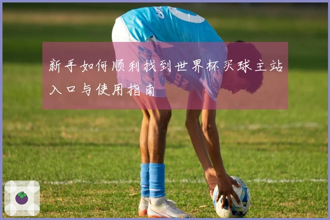 新手如何顺利找到世界杯买球主站入口与使用指南