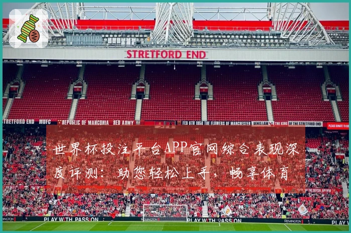 世界杯投注平台APP官网综合表现深度评测：助您轻松上手，畅享体育精彩
