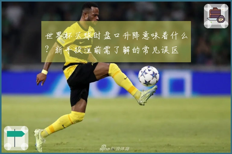 世界杯买球时盘口升降意味着什么？新手投注前需了解的常见误区