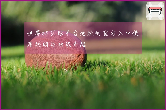世界杯买球平台地址的官方入口使用说明与功能介绍