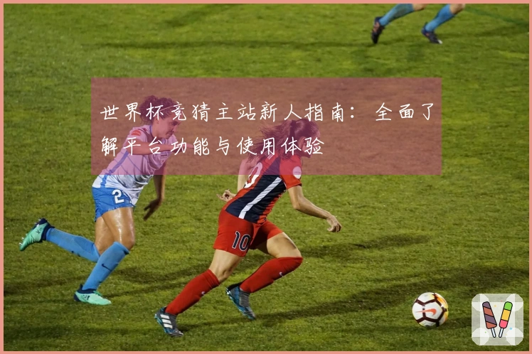 世界杯竞猜主站新人指南：全面了解平台功能与使用体验