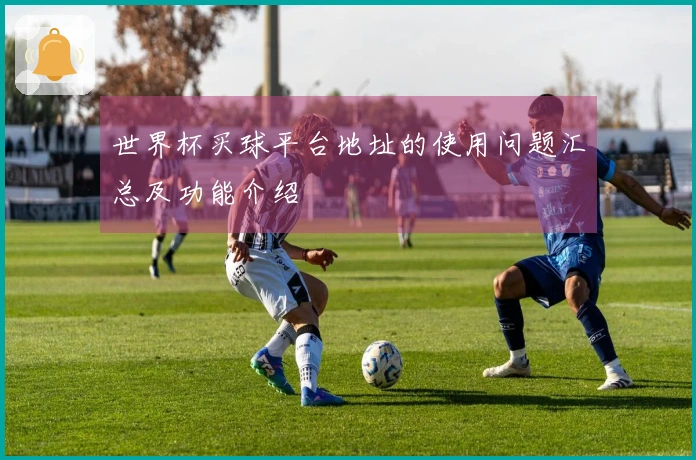 世界杯买球平台地址的使用问题汇总及功能介绍