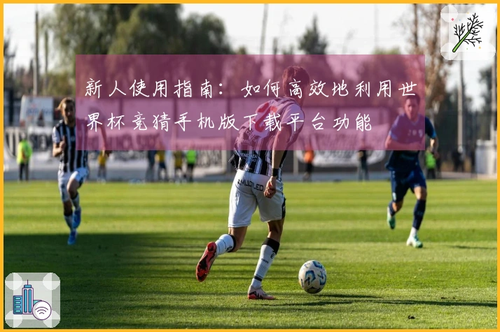 新人使用指南：如何高效地利用世界杯竞猜手机版下载平台功能