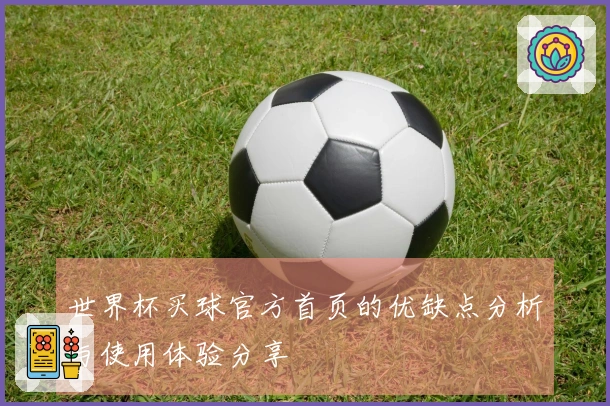世界杯买球官方首页的优缺点分析与使用体验分享