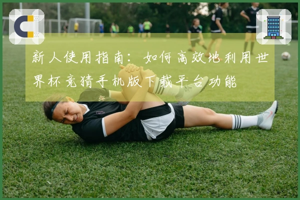 新人使用指南：如何高效地利用世界杯竞猜手机版下载平台功能