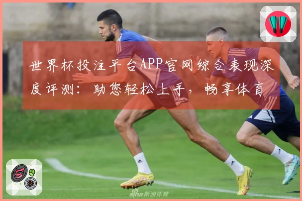世界杯投注平台APP官网综合表现深度评测：助您轻松上手，畅享体育精彩
