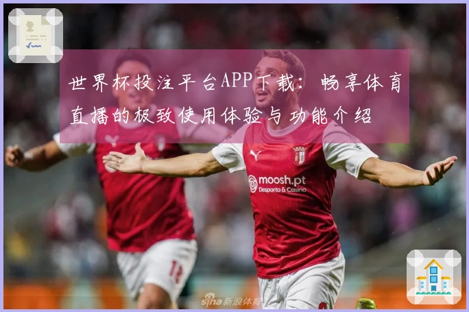 世界杯投注平台APP下载：畅享体育直播的极致使用体验与功能介绍