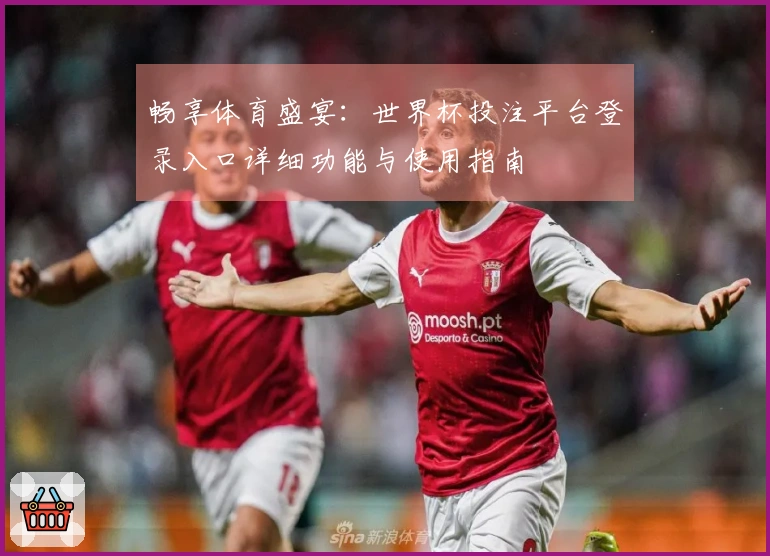 畅享体育盛宴：世界杯投注平台登录入口详细功能与使用指南
